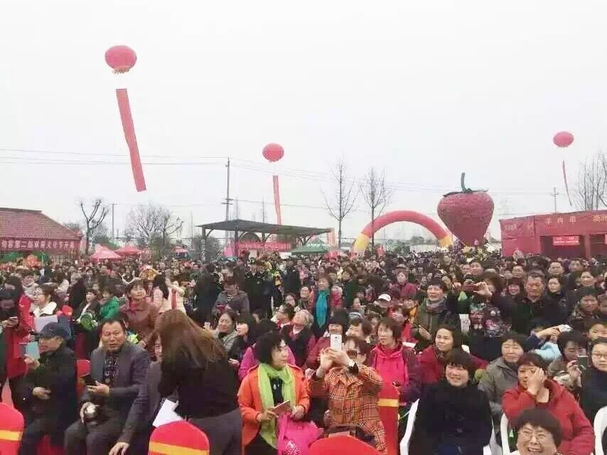 安徽雕塑，江蘇雕塑設(shè)計(jì)制作安裝休閑農(nóng)業(yè)雕塑